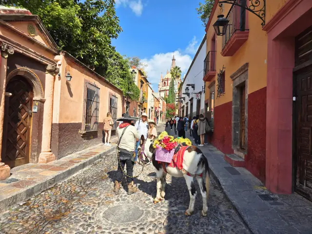 Calle pintoresca con un burro
