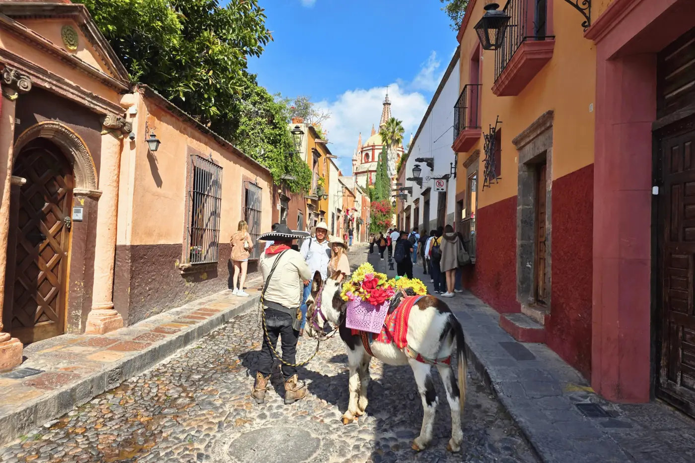 Calle pintoresca con un burro