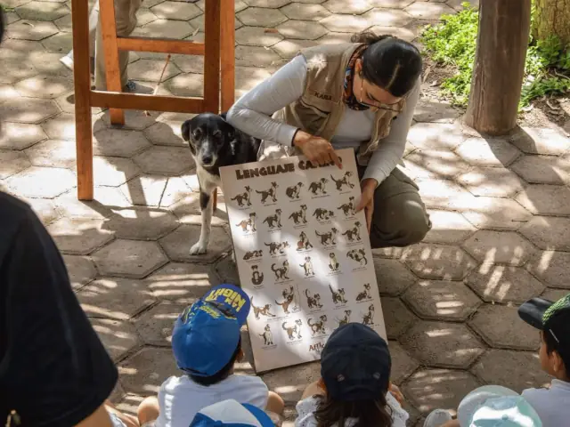Explicación de animales