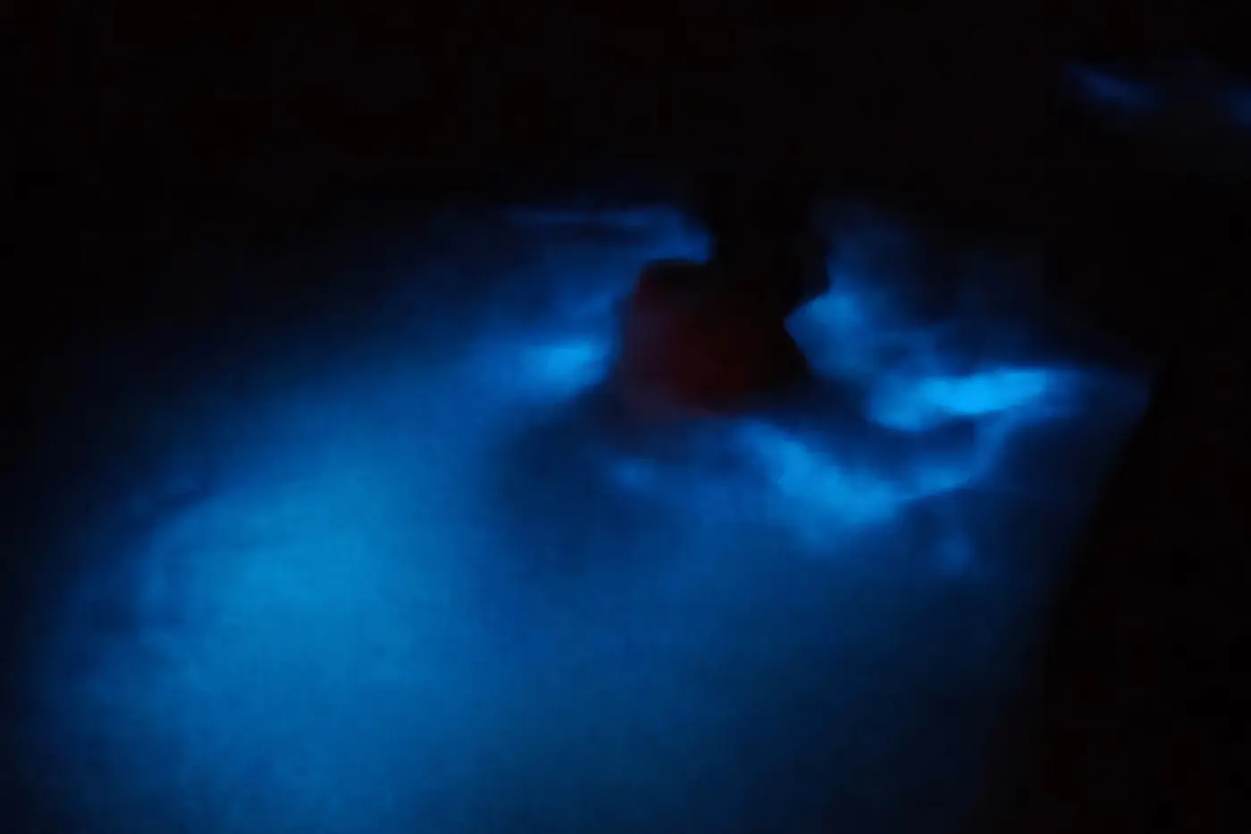 Bioluminiscencia