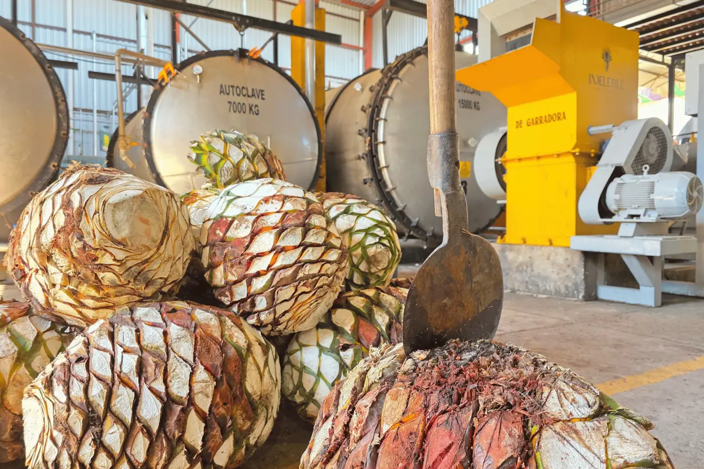 Fábrica de tequila