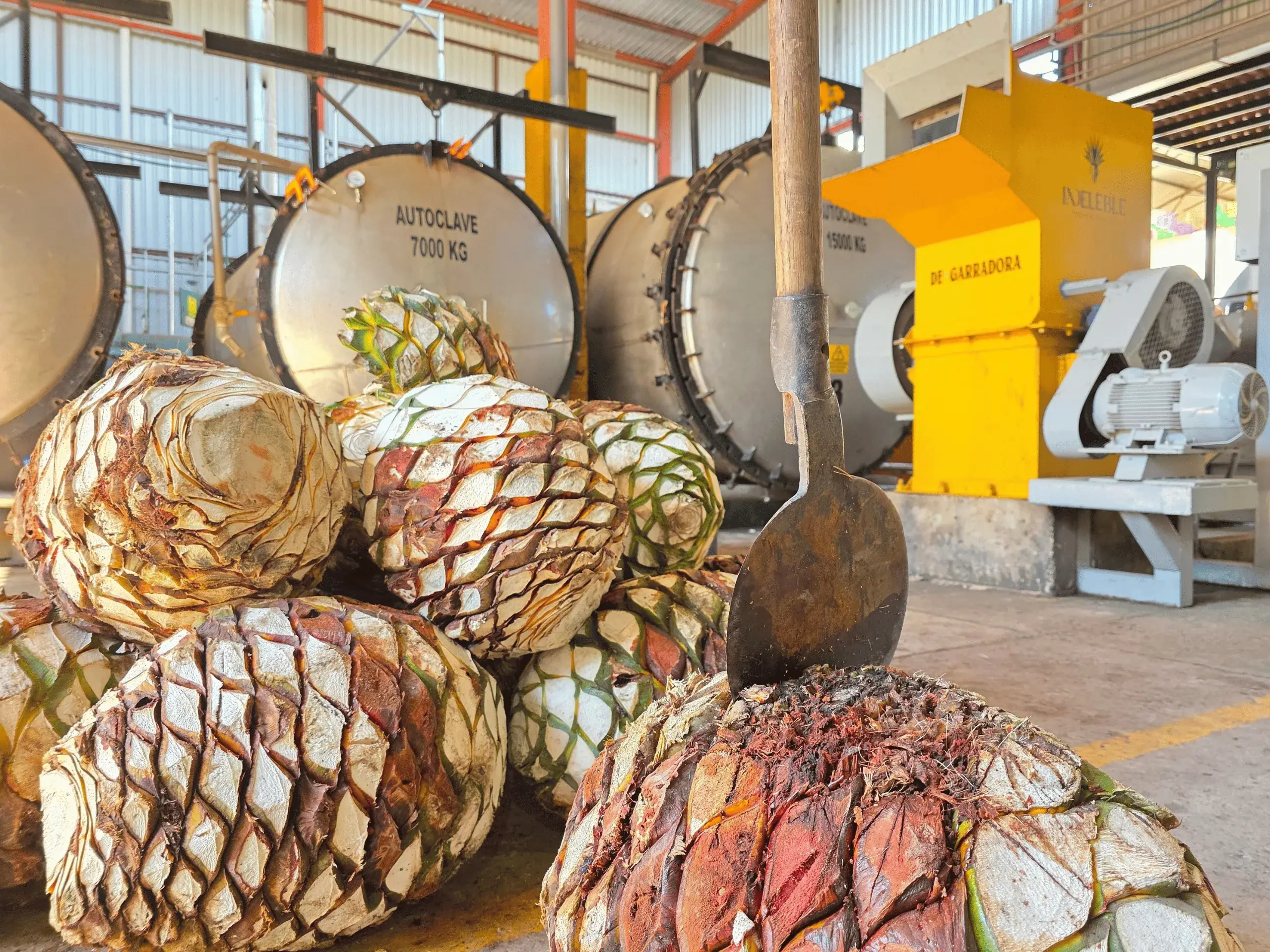 Fábrica de tequila