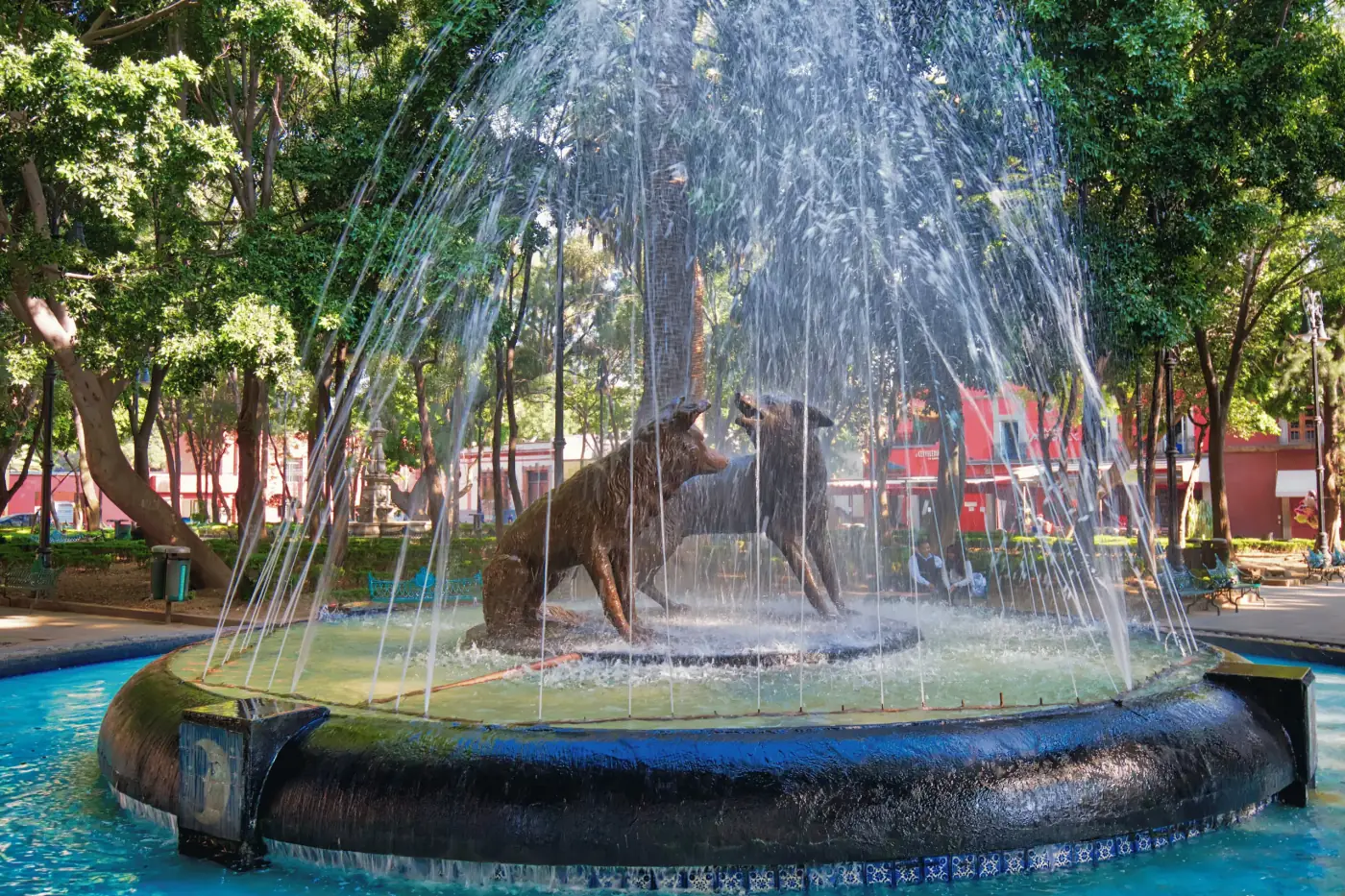 Fuente de los coyotes