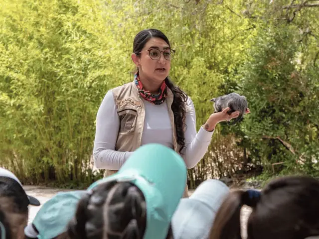 Instructora explicando