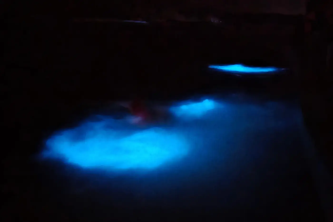 Nadando en la bioluminiscencia