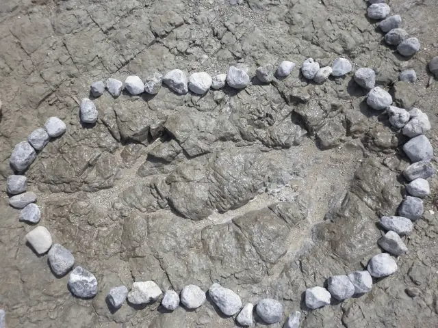 Huella de dinosaurio