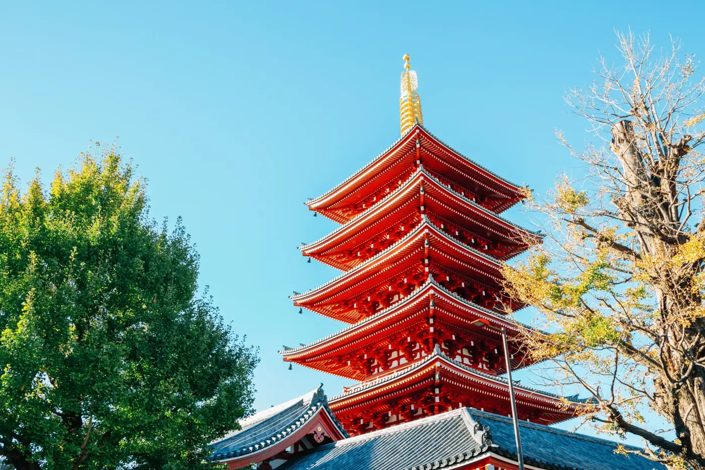 Japón
