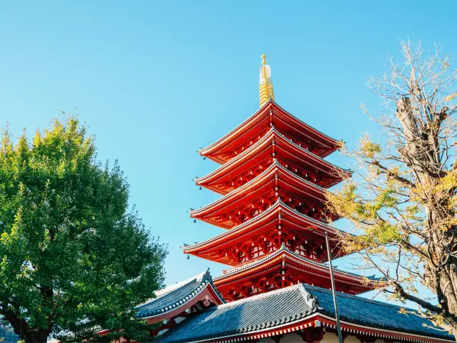 Japón