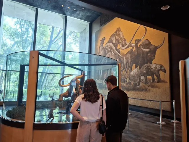 Museo de Antropología