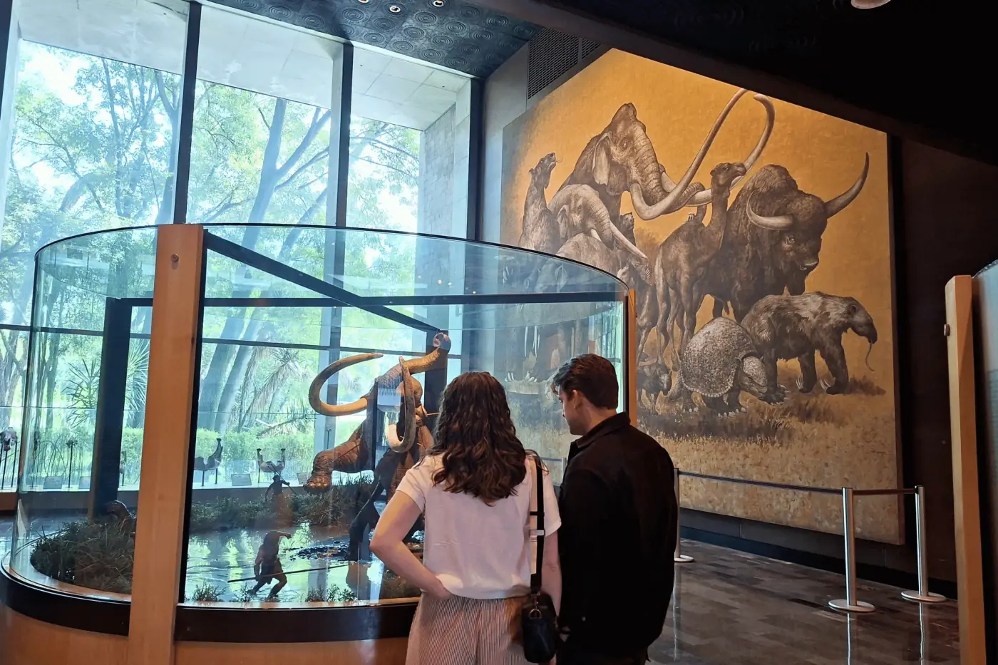 Museo de Antropología