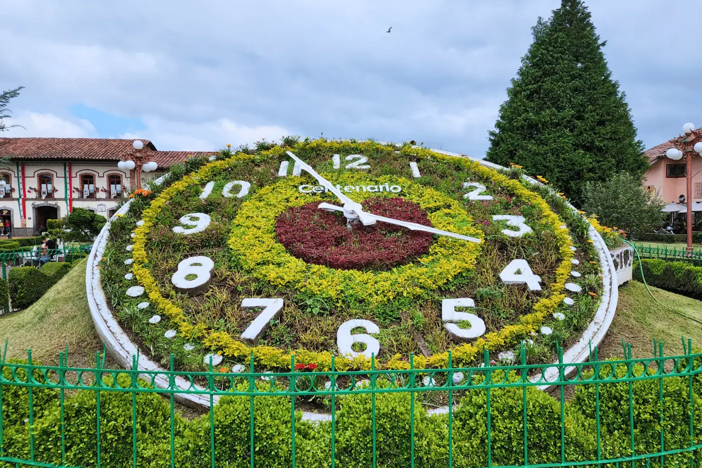 Reloj floral