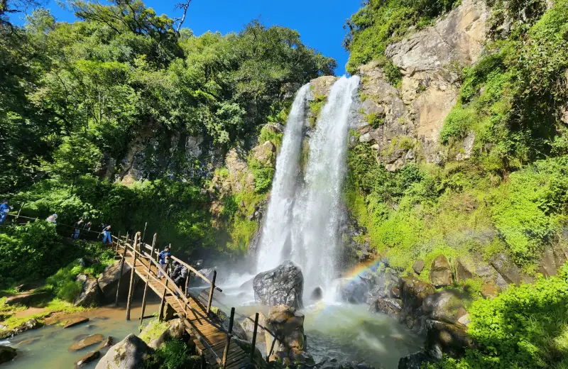 Honey "Cascadas Paraíso" y Zacatlán