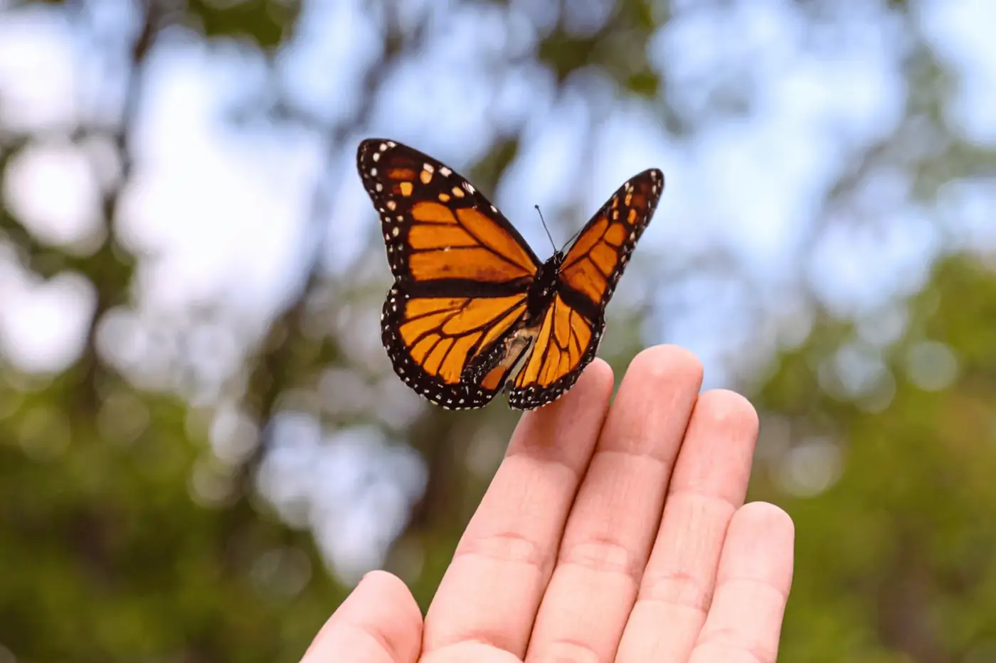 Contacto con la naturaleza