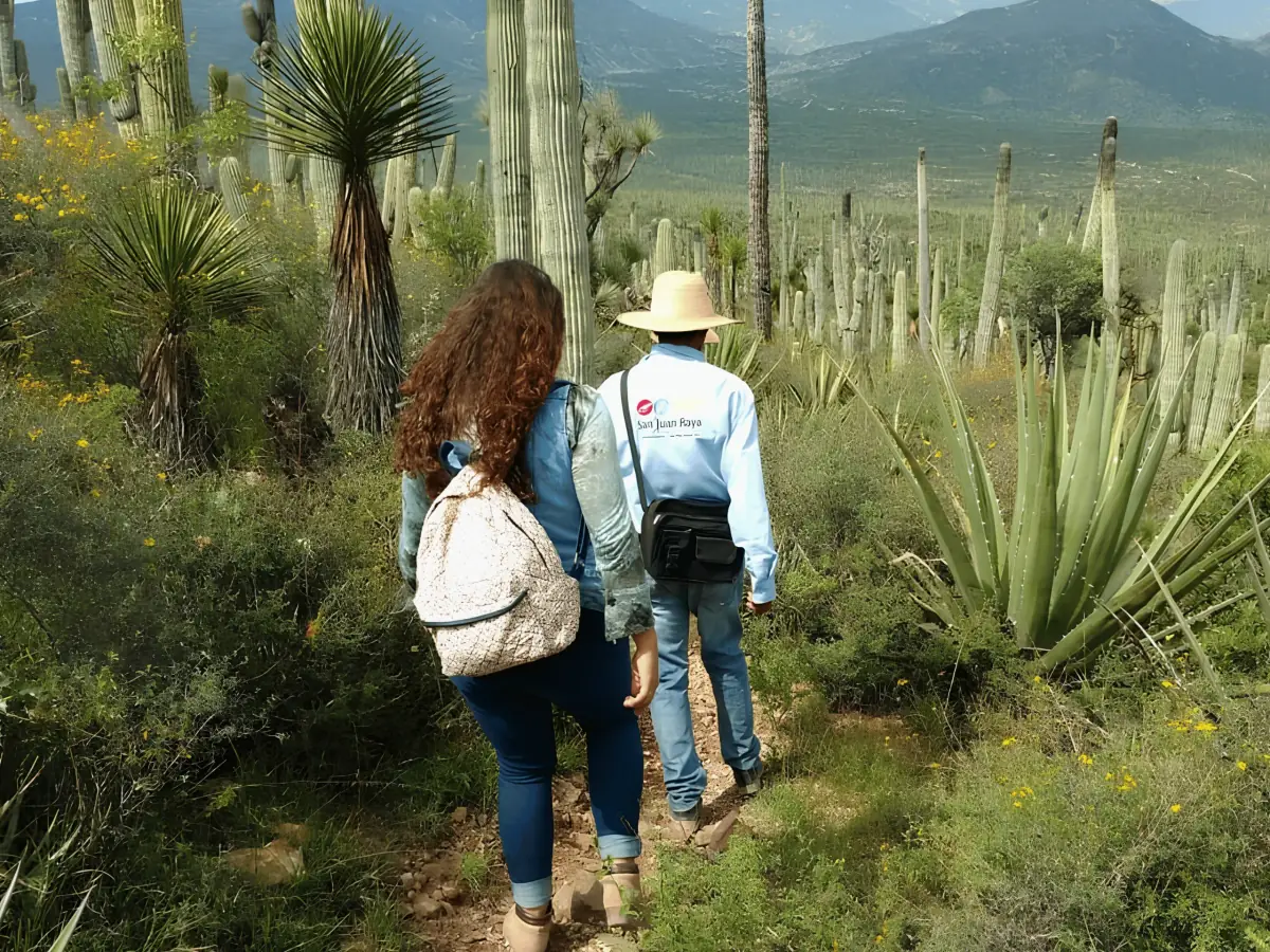 Recorrido