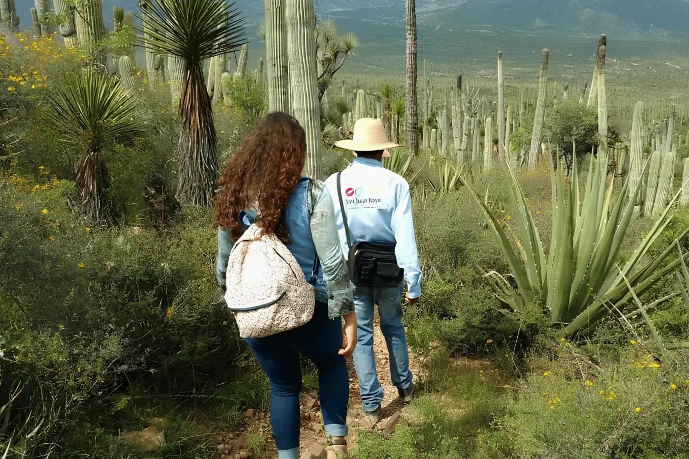 Recorrido