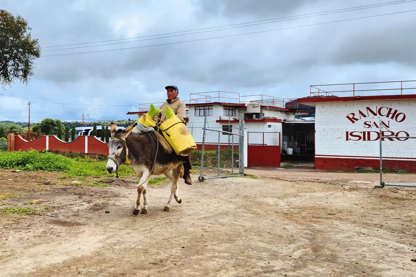 Tlachiquero del rancho