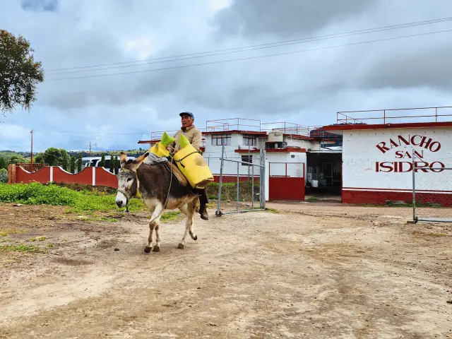 Tlachiquero del rancho