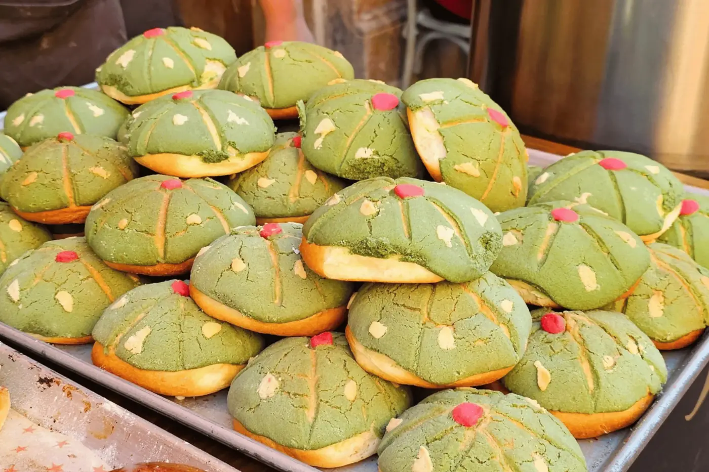 Peyoconchas