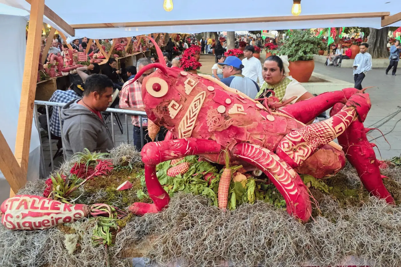 Chapulín hecho con rábanos