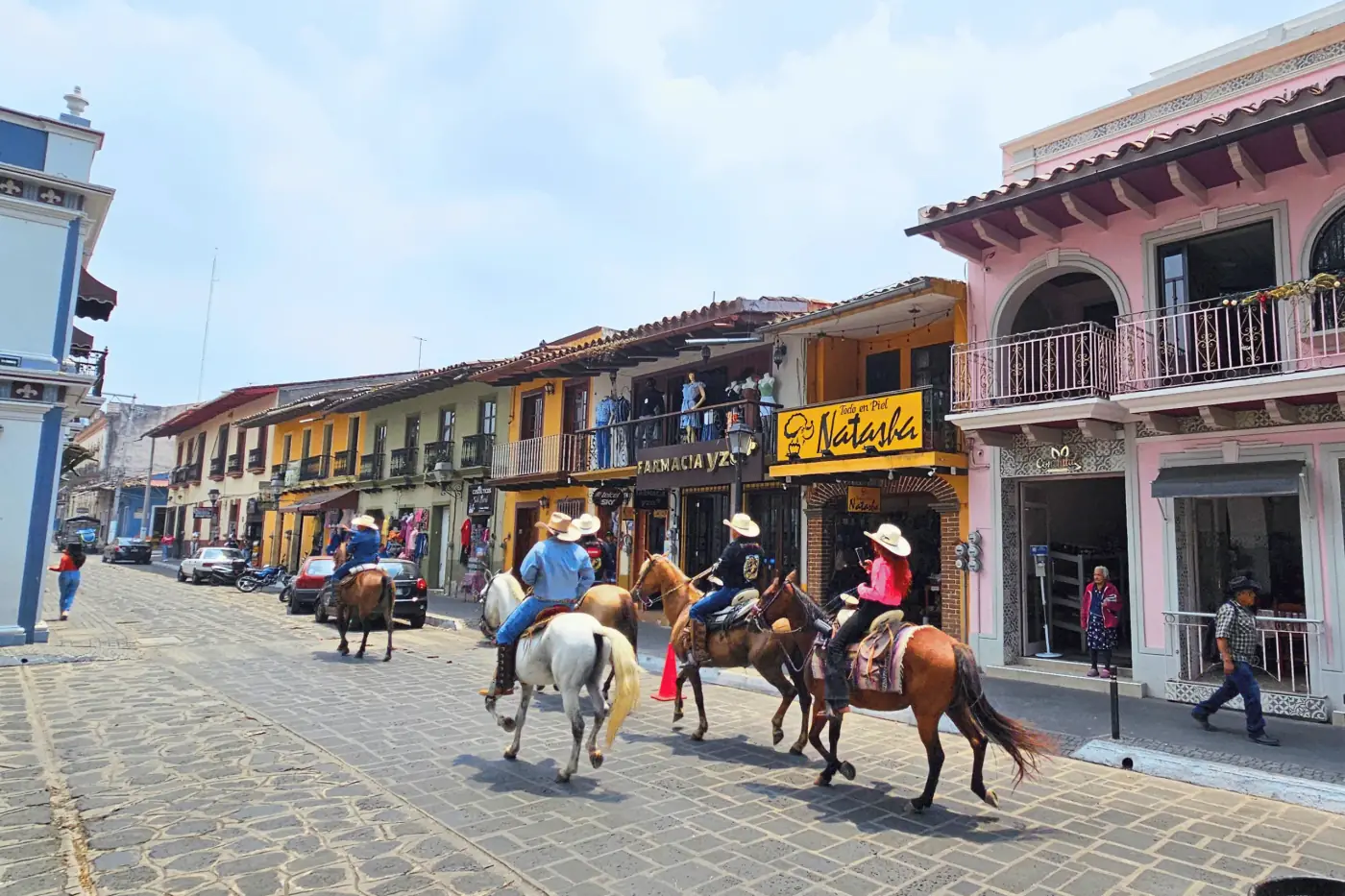 Caballos en la calle