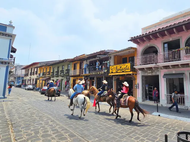 Caballos en la calle