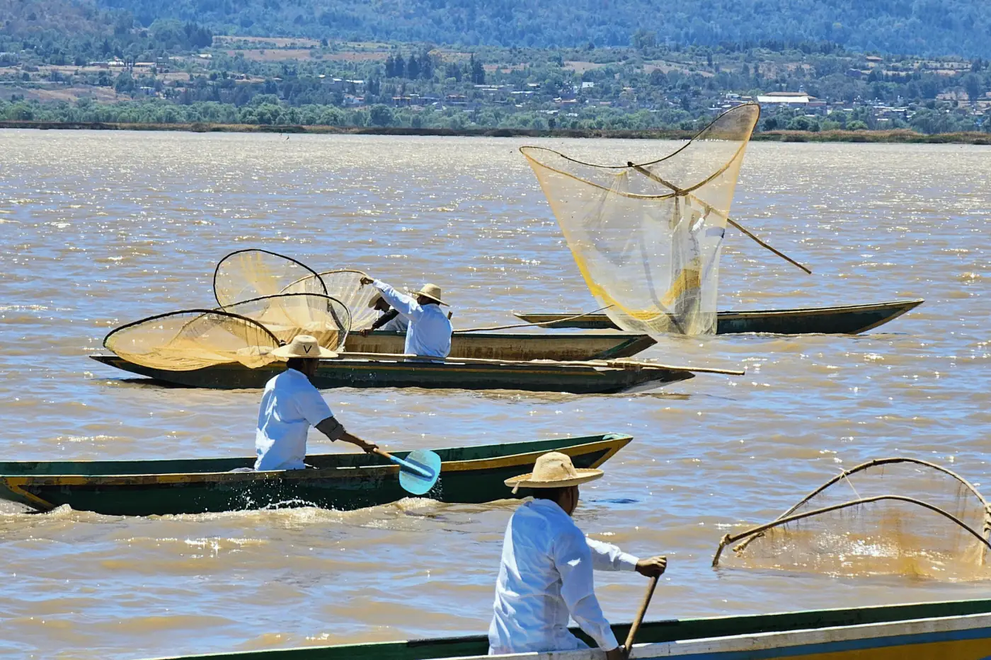Pescadores - Redes de mariposa