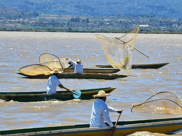 Pescadores - Redes de mariposa
