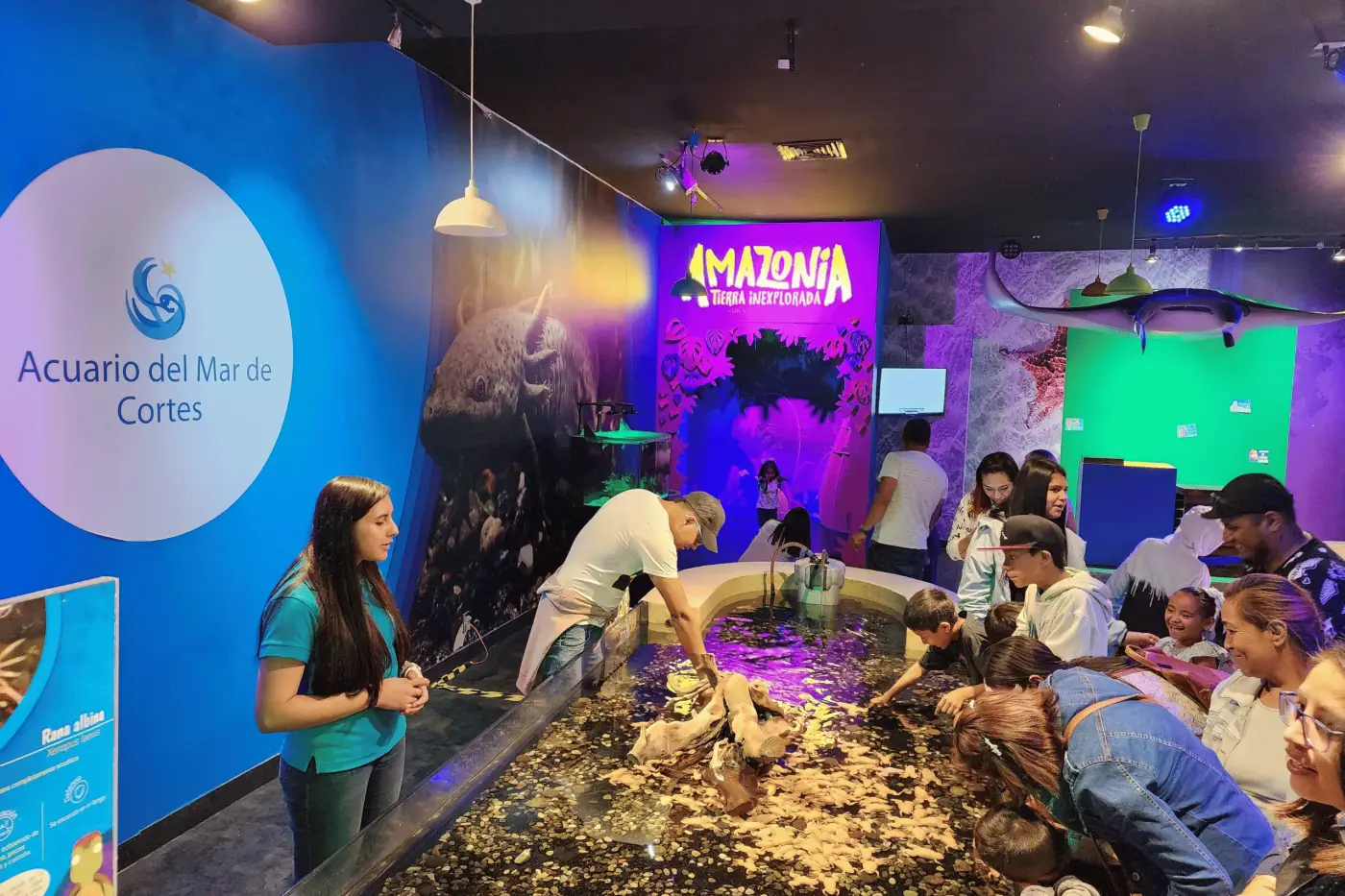 Acuario interactivo