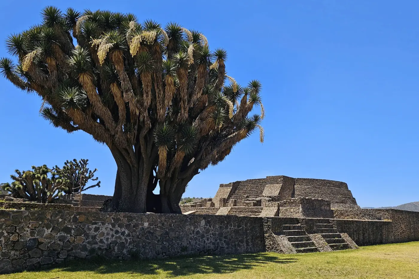 Visita a la zona arqueológica