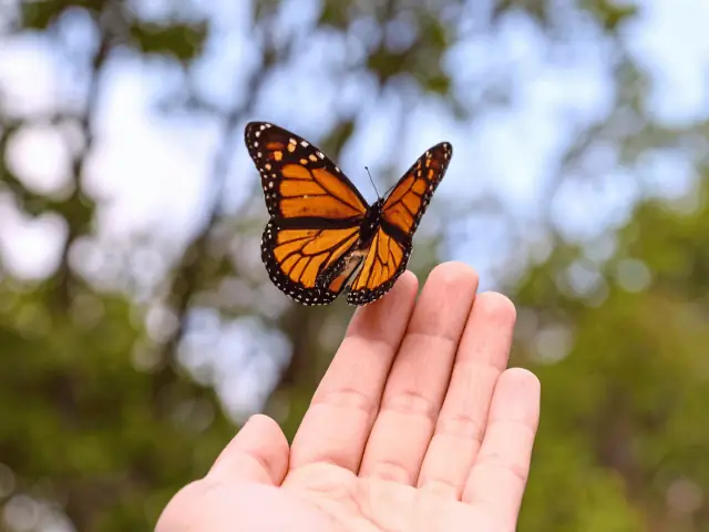 Contacto con la naturaleza