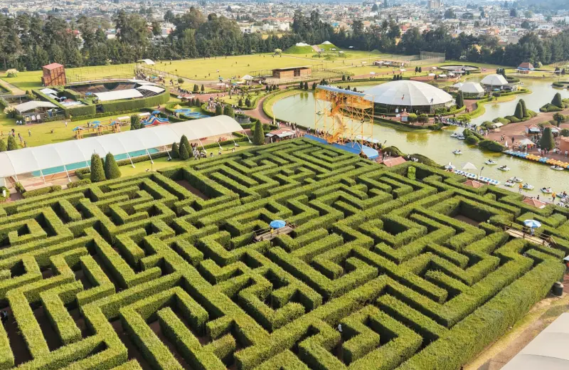 Bosque de árboles de Navidad y Hacienda Panoaya