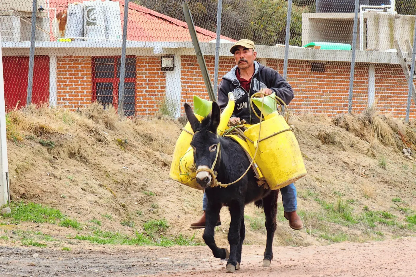 El tlachiquero
