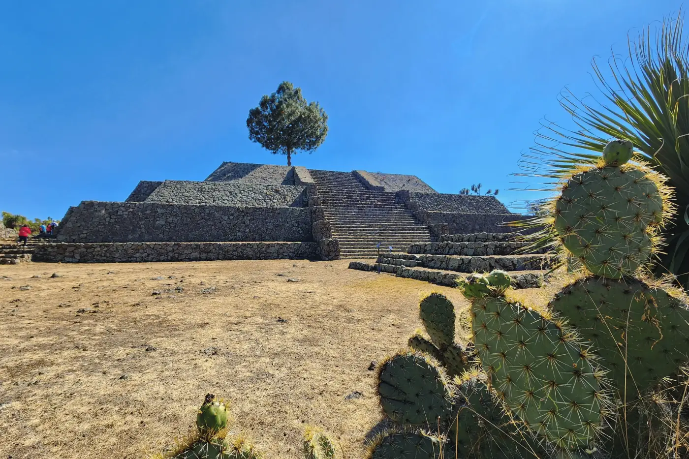 Zona arqueológica de Cantona