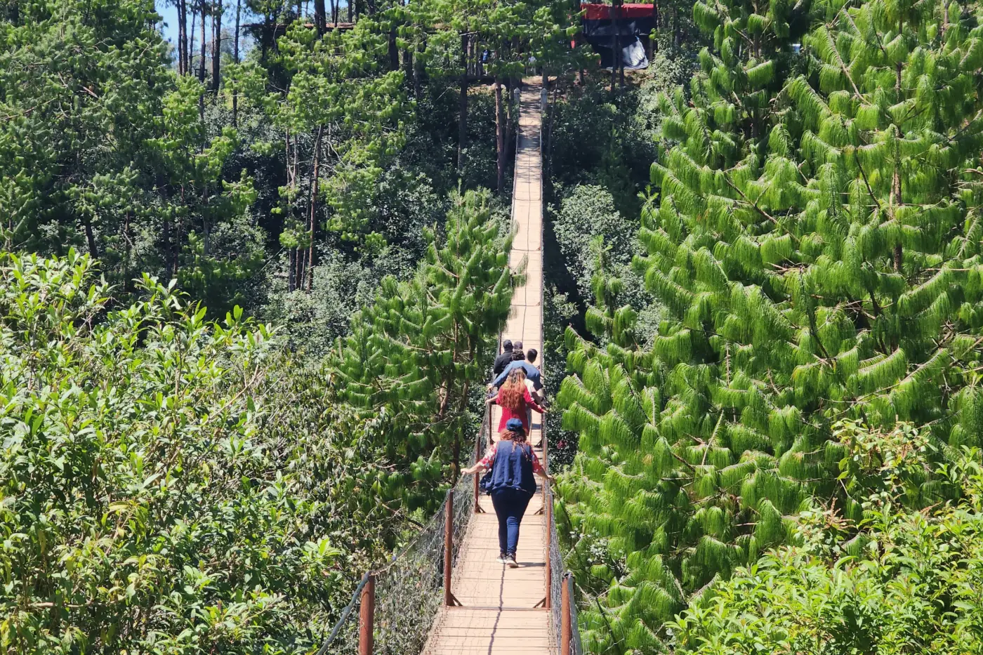 Puente colgante