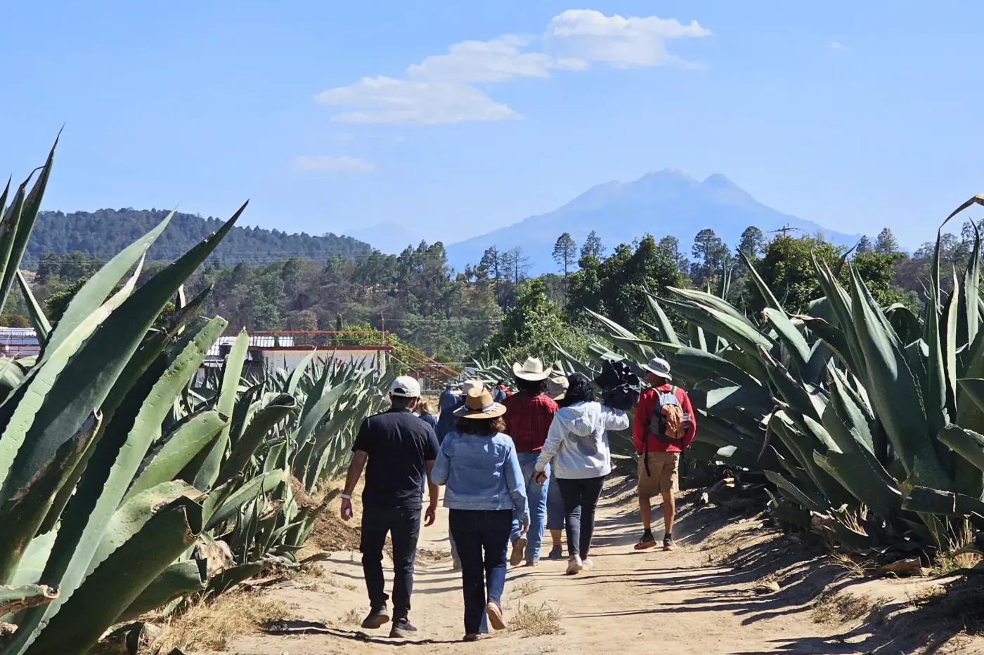 Recorrido por el rancho
