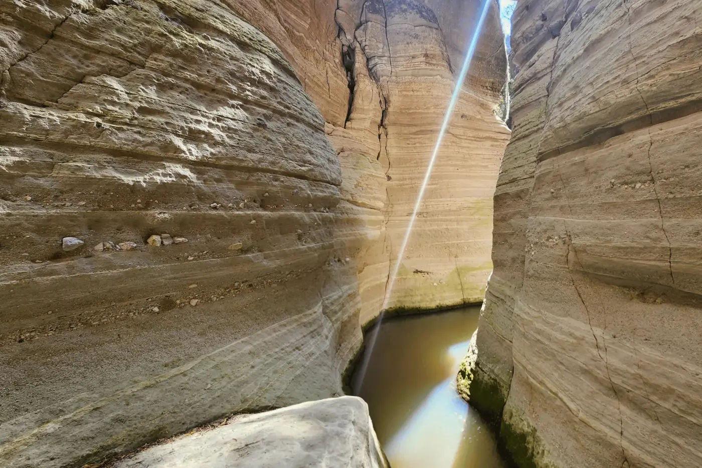 Arroyo